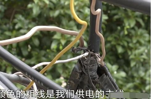 小區(qū)集體偷電 用電幾十年 超9成用戶電表度數(shù)為零